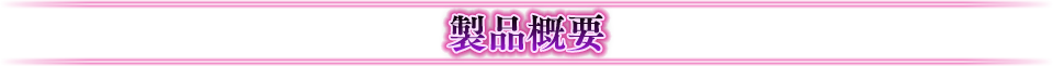 製品概要